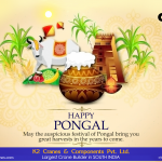 Happy Pongal 2023 | Pongal Greetings